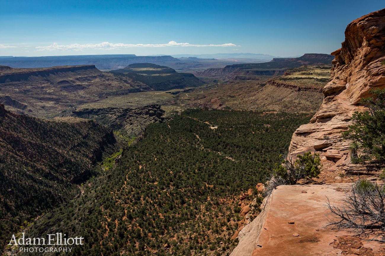 Zion: Behind the Tabernacle - Adam Elliott Photography