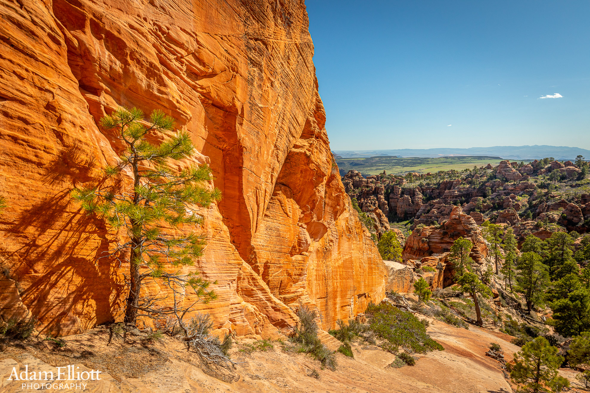 red butte living room trail